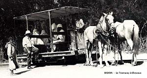BISKRA - TRAMWAY